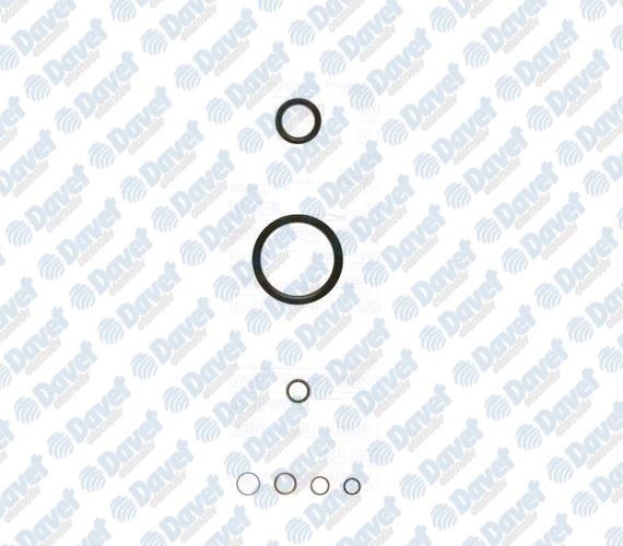 PAYEN REG7950 Alt Takim Conta Clio Ii-Iii Kangoo 1.2 8v 1.2 16v 01- D4f D 